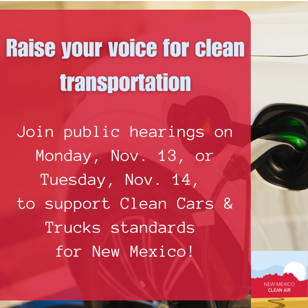 Read more about the article Nov. 13 & 14: Raise your voice for clean transportation!